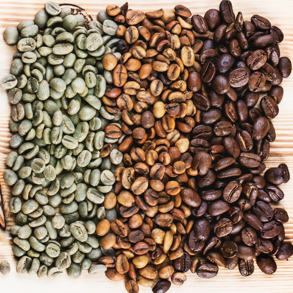 Charleston Coffee Roasters - Stages of Roasted Beans