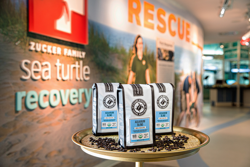Charleston Coffee Roasters Aquarium Blend Sea Turtle Rescue Center