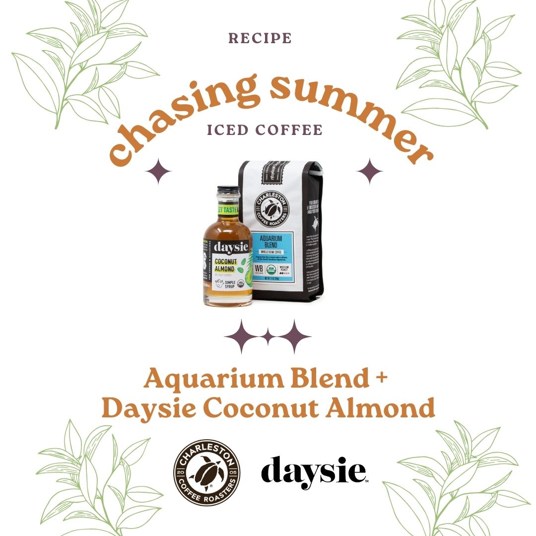 Chasing Summer Daysie Recipe