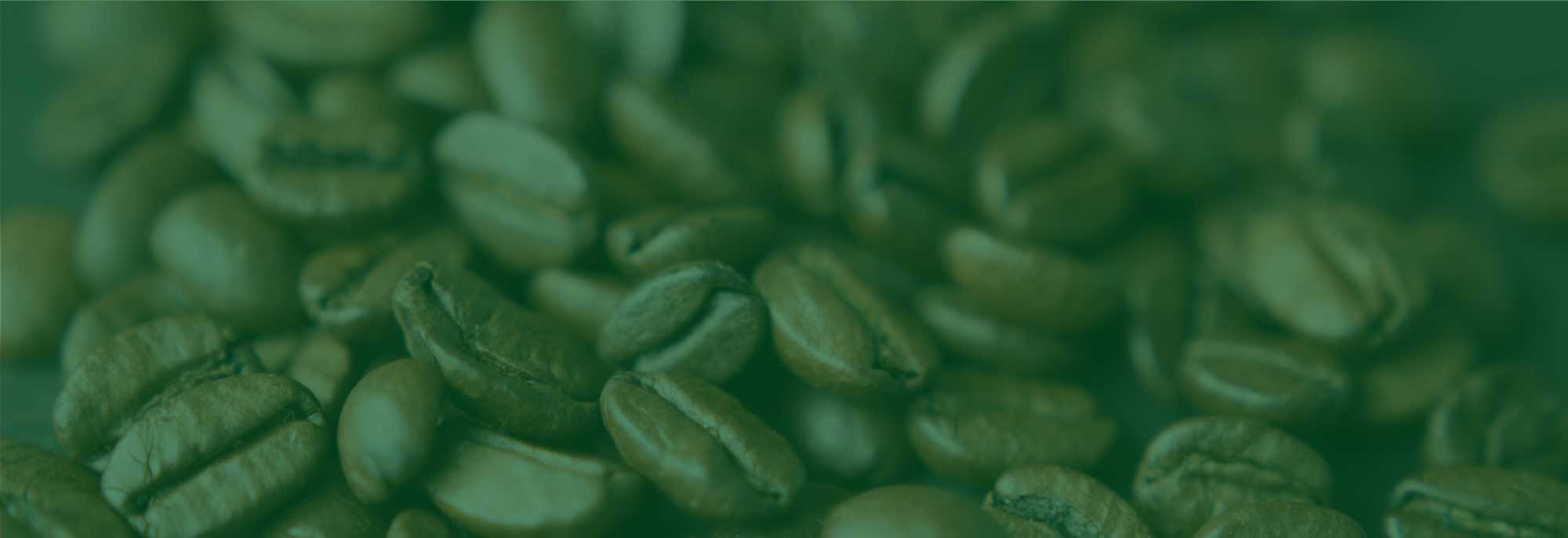 header coffee beans green filter